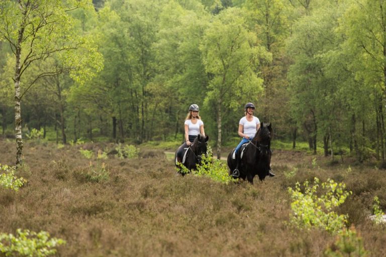 WoudStee paardenstallen paardrijden luxe vakantie op de veluwe overnachten met paard