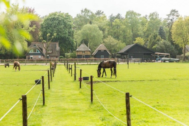 WoudStee wijdegang padock luxe vakantie op de veluwe overnachten met paard