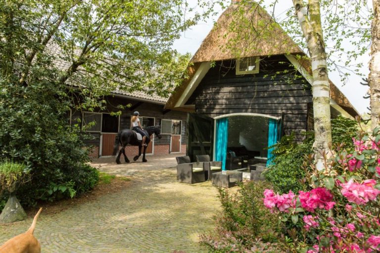 Woudstee luxe vakantiehuis Anthonia Veluwe buitenkant