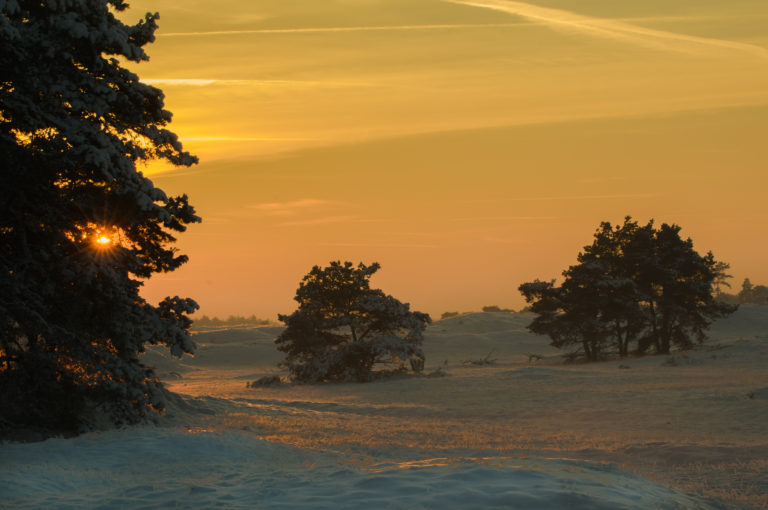 Zonsondergang op de hei van de Veluwe