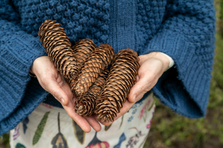 Woudstee Cornelia buiten spelen met dennenappels