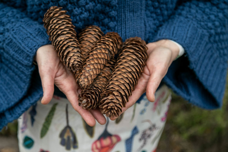 Woudstee Cornelia buiten spelen met dennenappels