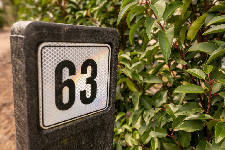 Woudstee Cornelia Sprengenweg 63 in Epe