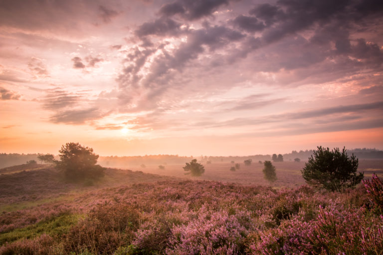 Op vakantie op de heide bij WoudStee Renderklippen