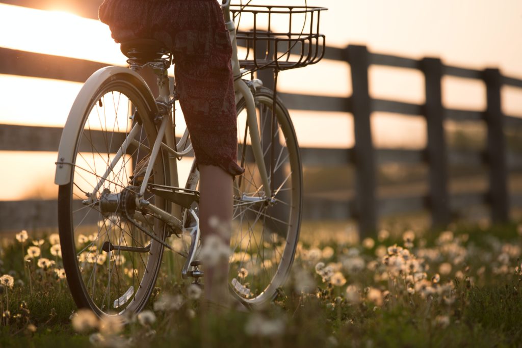 Huur een fiets tijdens je vakantie op de Veluwe bij WoudStee