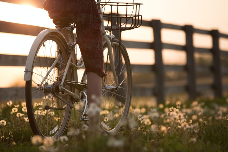 Huur een fiets tijdens je vakantie op de Veluwe bij WoudStee