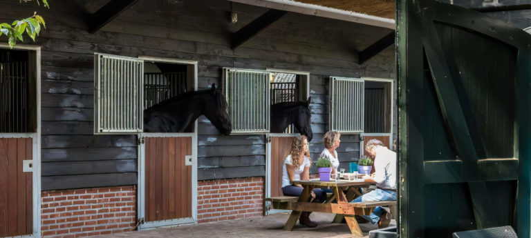 WoudStee met eigen paard op de Veluwe op vakantie