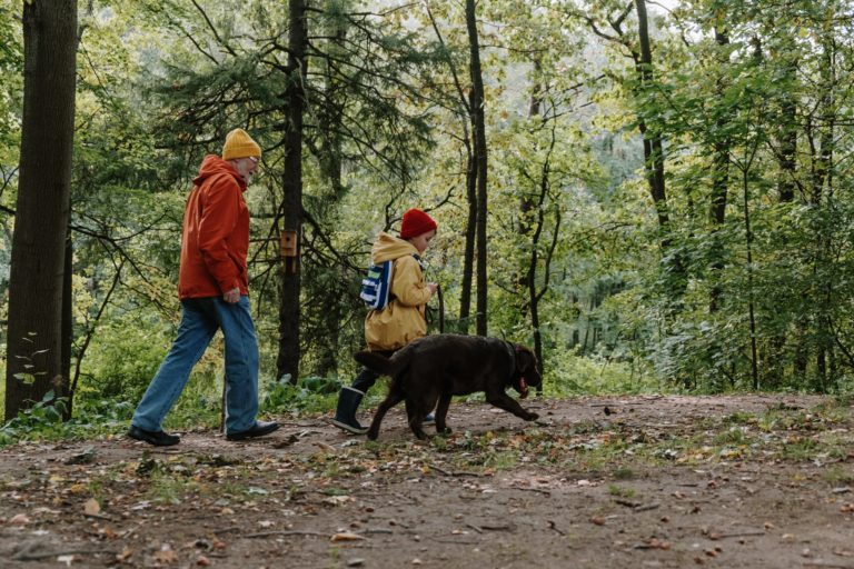 Met de kinderen op vakantie op de Veluwe bij WoudStee in Epe