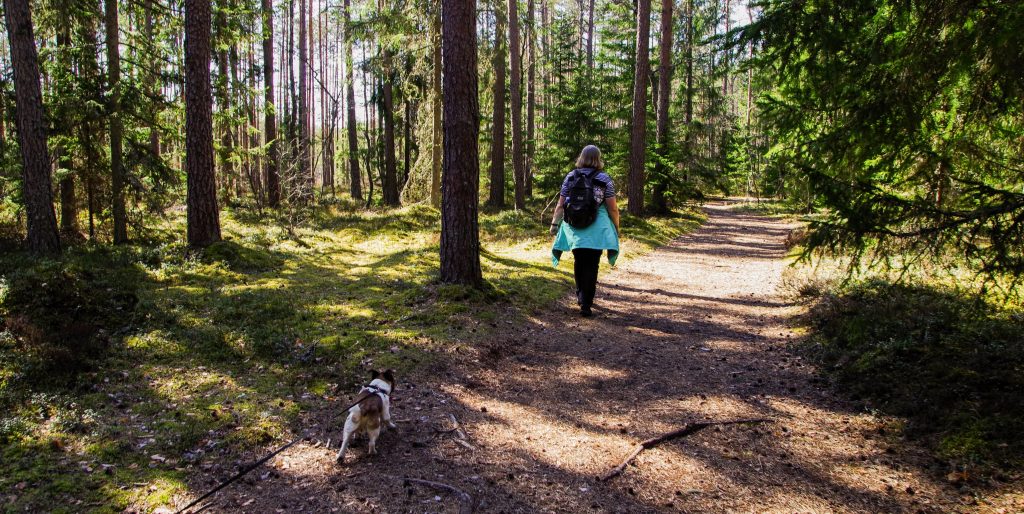 Eindeloos wandelen op de Veluwe bij WoudStee