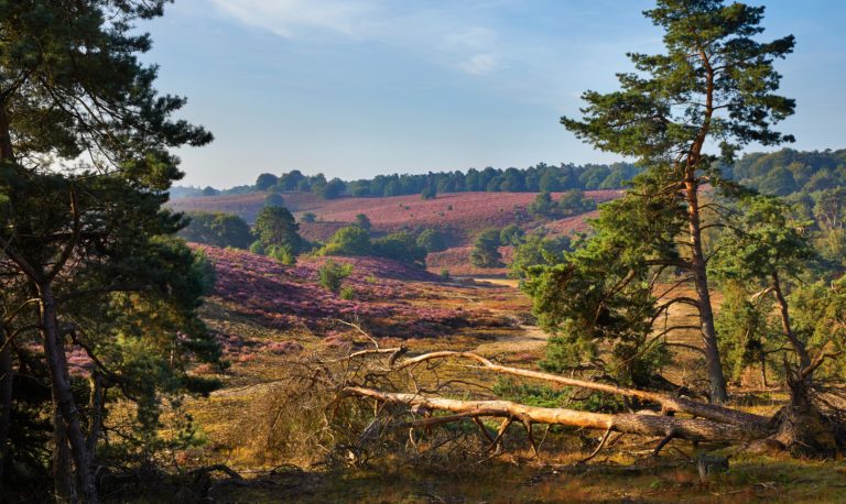 Op vakantie bij WoudStee luxe hoeve op de Veluwe
