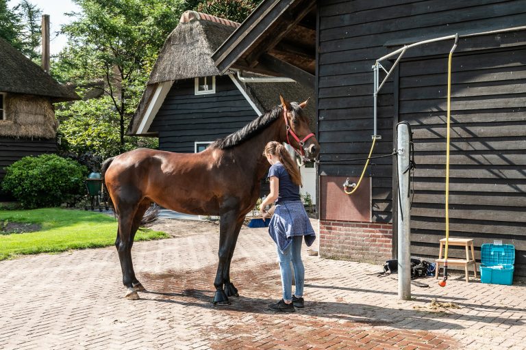 Antonia paardenstal meisje met paard bij Woudstee
