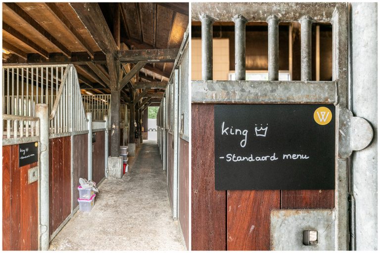 Antonia paardenstal naambord King merrie bij Woudstee