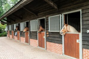 Antonia paardenstallen met paarden bij Woudstee