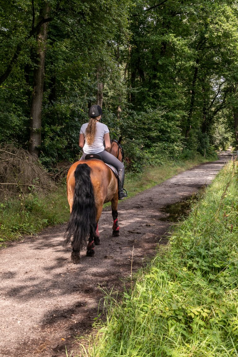 Meisje op paard in de omgeving van Antonia Woudstee