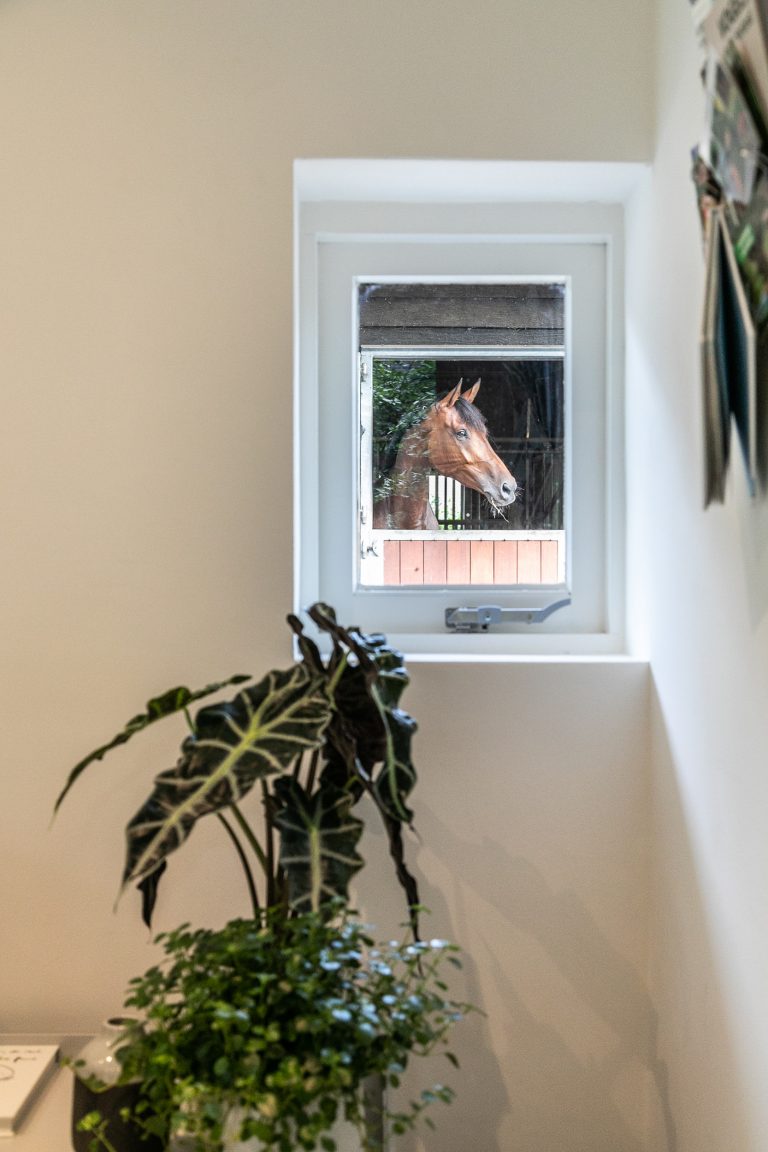 Plant bij raam met uitzicht op paardenstal Antonia bij Woudstee