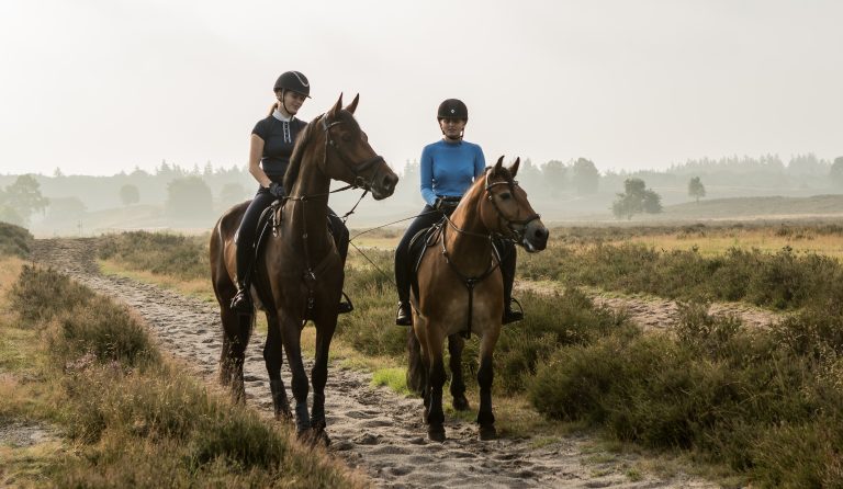 paardrijden vlakbij woudstee luxe vakantie op de veluwe