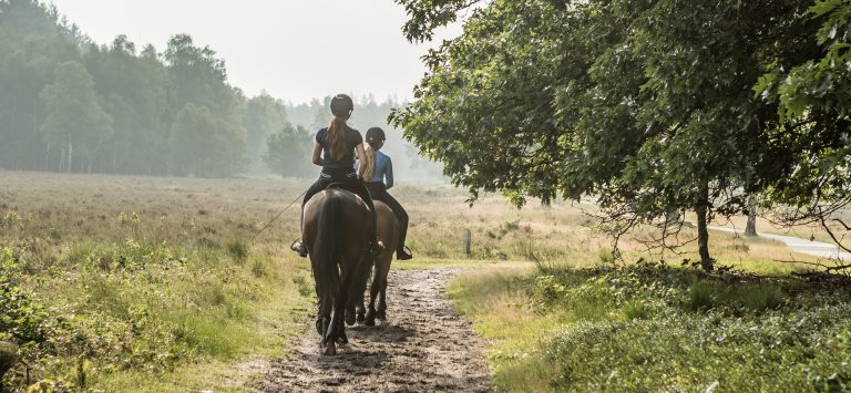 paardrijden vlakbij woudstee luxe vakantie met je paard