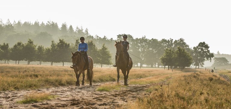 WoudStee paardrijden vakantie eigen paard veluwe