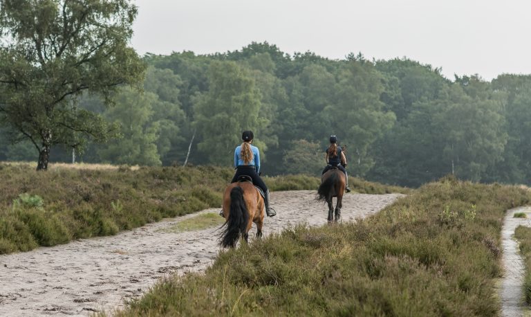 WoudStee paardrijden vakantie eigen paard veluwe Maaike Charlotte