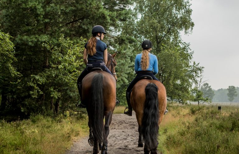 WoudStee buitenspelen veluwe epe