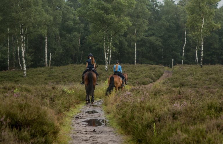 WoudStee buitenspelen renderklippen veluwe epe