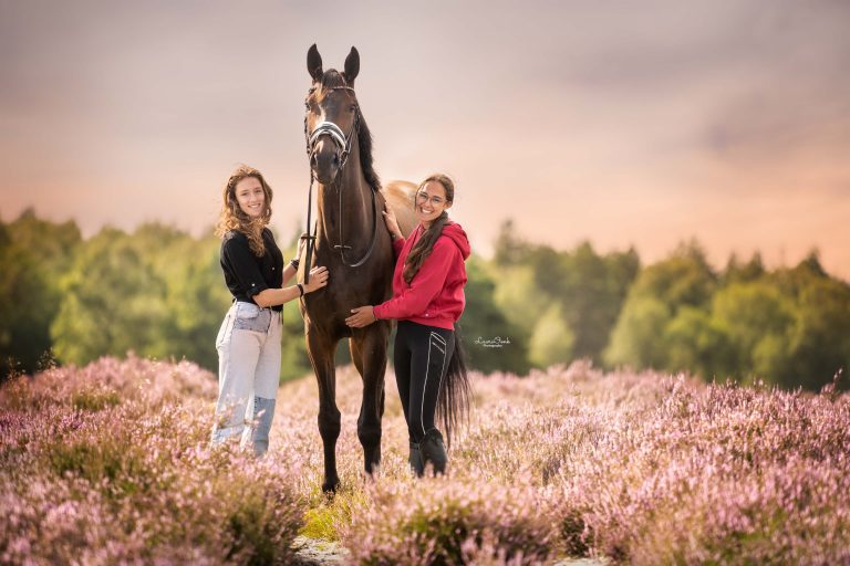 Met je paarden op vakantie naar Epe op de Veluwe