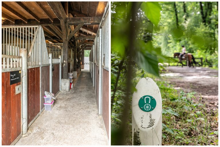 Ruiterpad paaltje bij WoudStee ruiterpaden Veluwe
