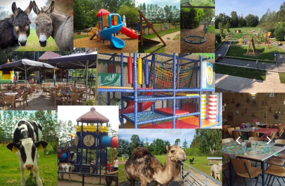 Bezoek de Koperen Ezel met de kinderen op vakantie