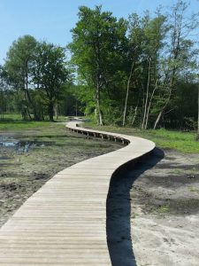 Wandelen op het vlonderpad in Tongeren dichtbij WoudStee op de Veluwe
