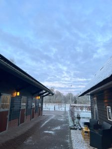 Buiten spelen met je paard op de Veluwe bij WoudStee ook in de winter